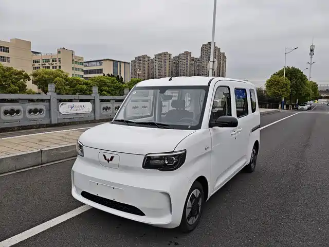 WULING WULING ZHIGUANG NEW ENERGY