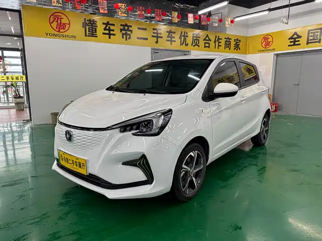  Changan Changan Benben E-Star 2023 Appreciation Edition Colorful NMC