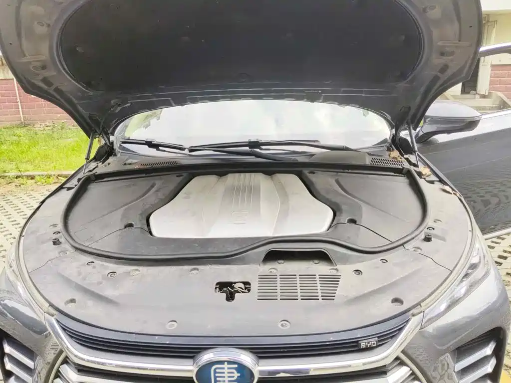 Фото 3 - BYD Tang New Energy