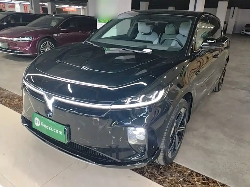 Voyah Auto Voyah Zhiyin 2024 Long Range Super Charging Edition