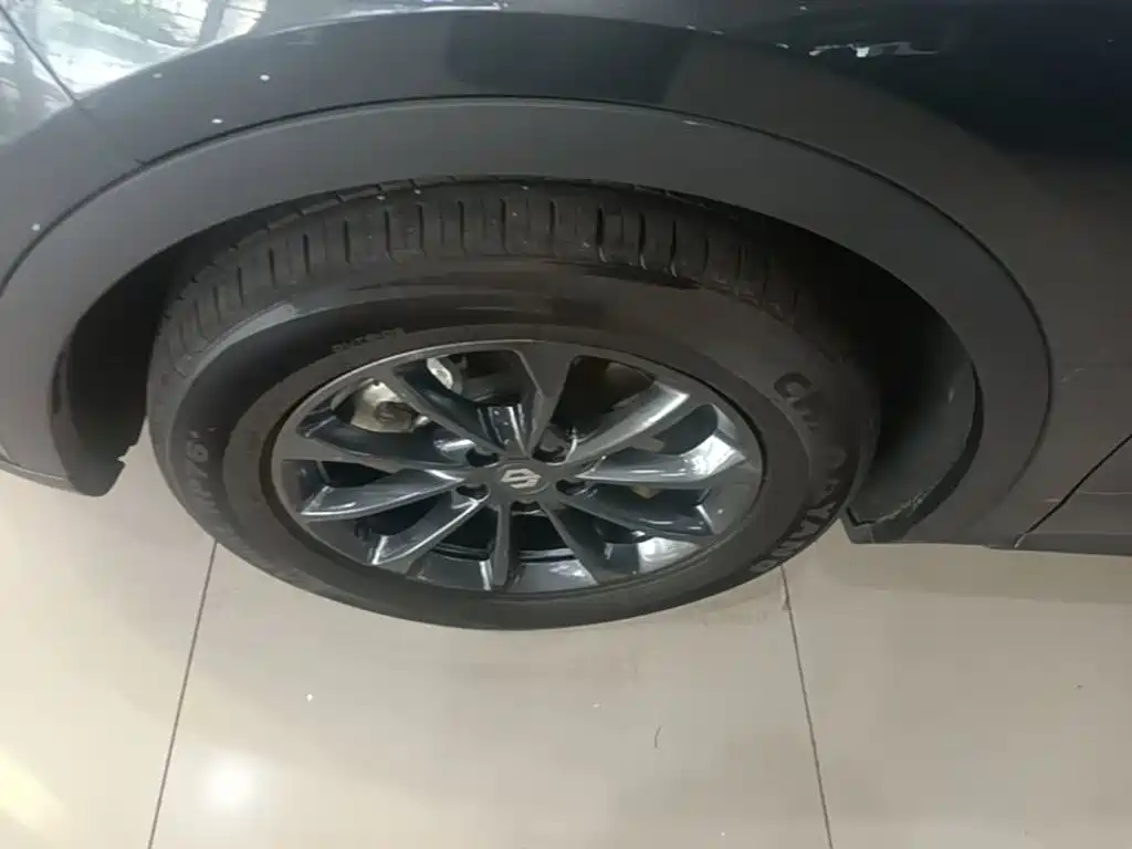 Leapmotor C11 2025 2024 Extended Range 300 Premium Edition