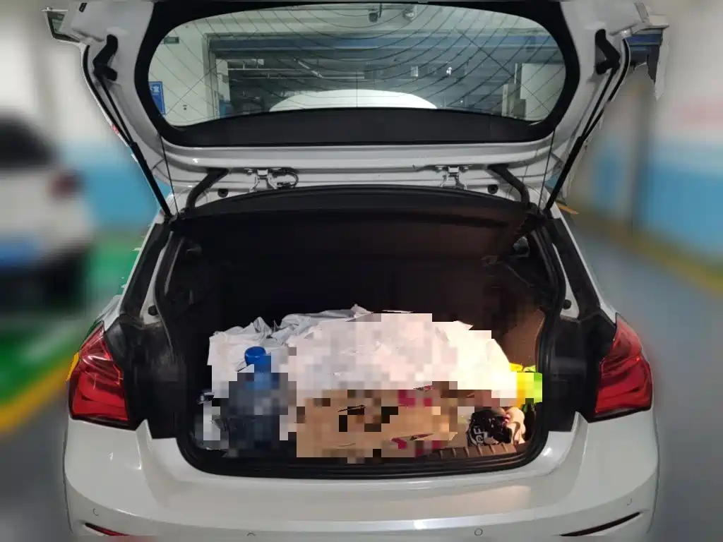 BMW 1 Series (Import) 2018 2018 118i Leading