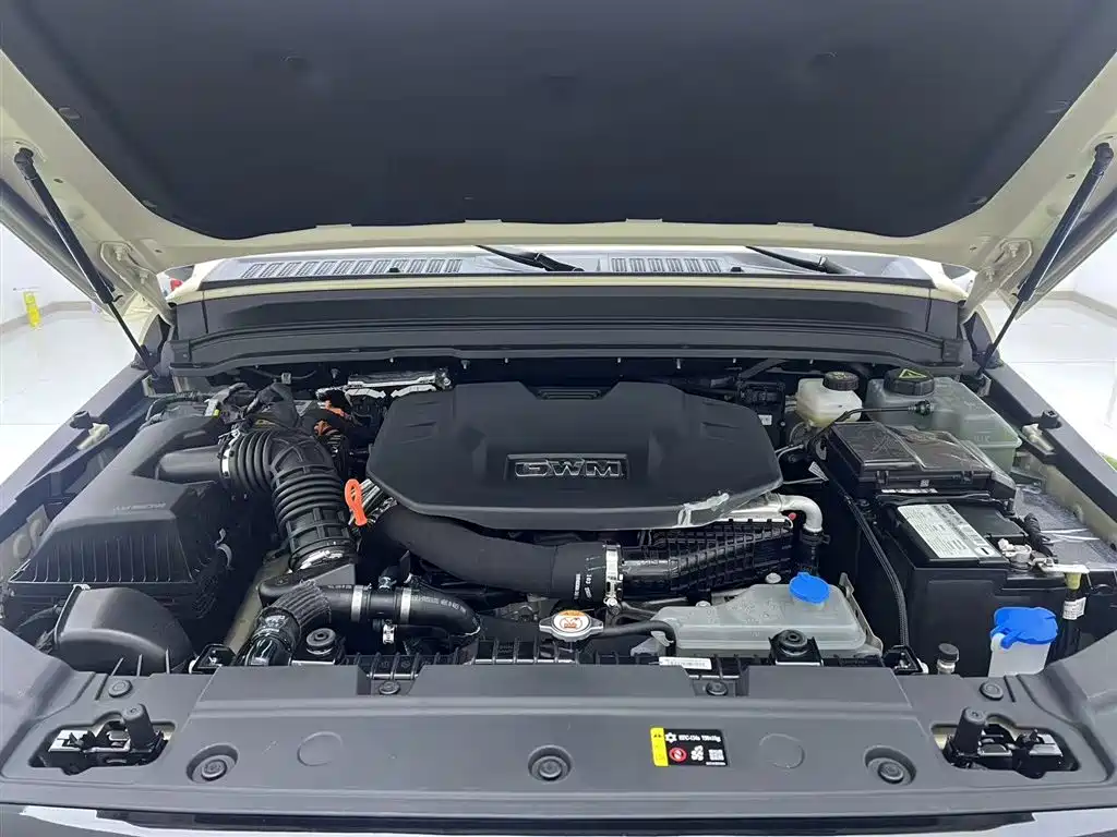 TANK TANK 300 NEW ENERGY