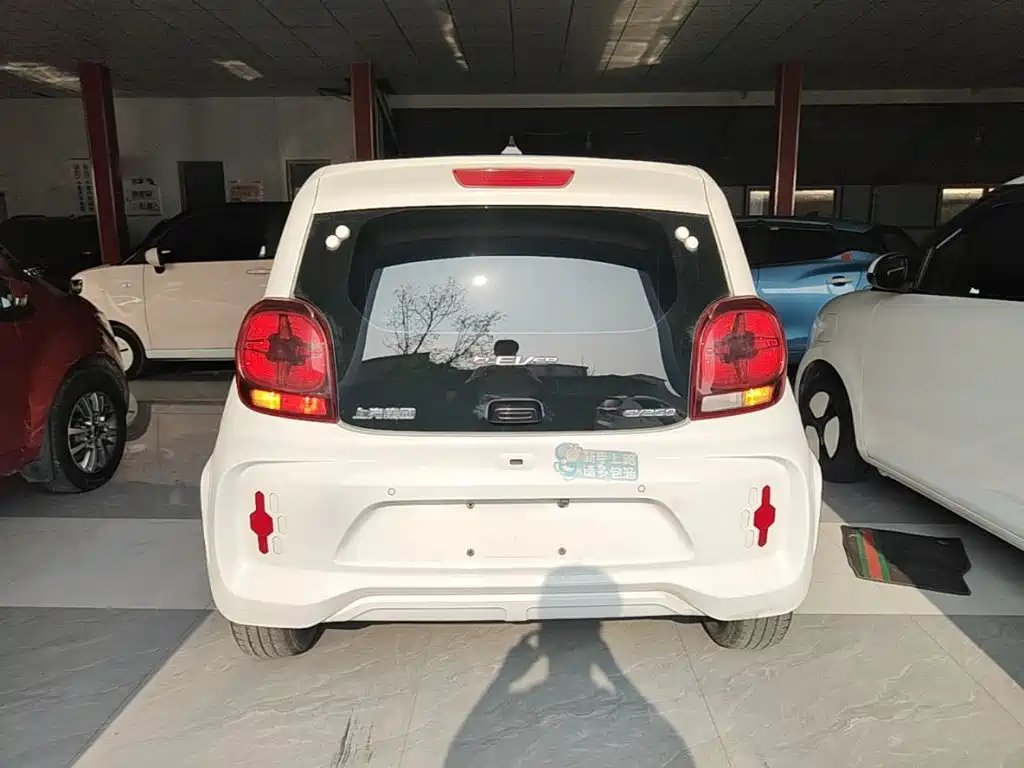 Roewe Kaiwei CLEVER 2024 2022 311km Vitality Bobo Edition