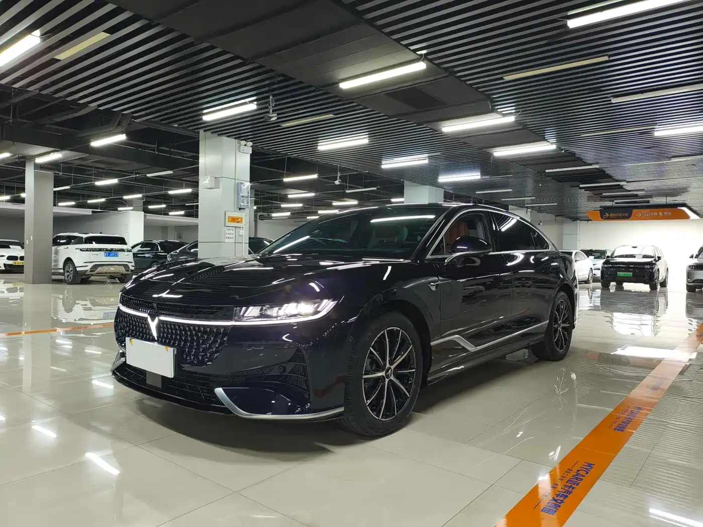 Voyah Auto VOYAH Zhuiguang 2024 PHEV AWD Ultra-long Range Executive Edition