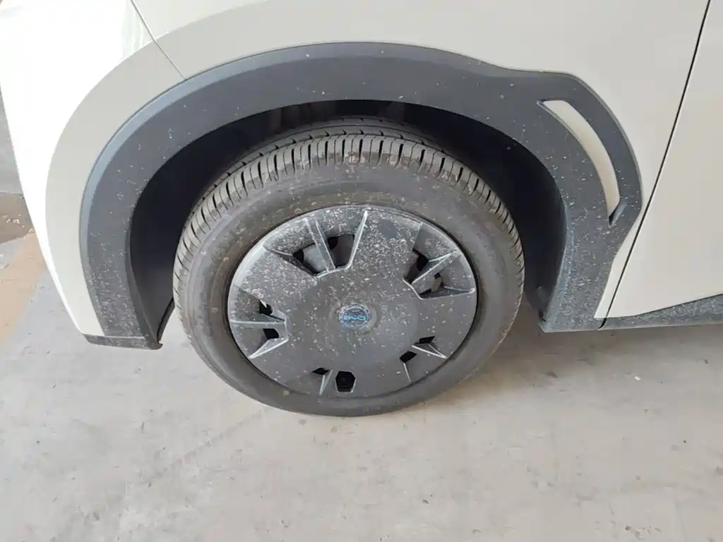 BYD Seagull 2026 2025 Smart Drive Edition 305km Vitality Version