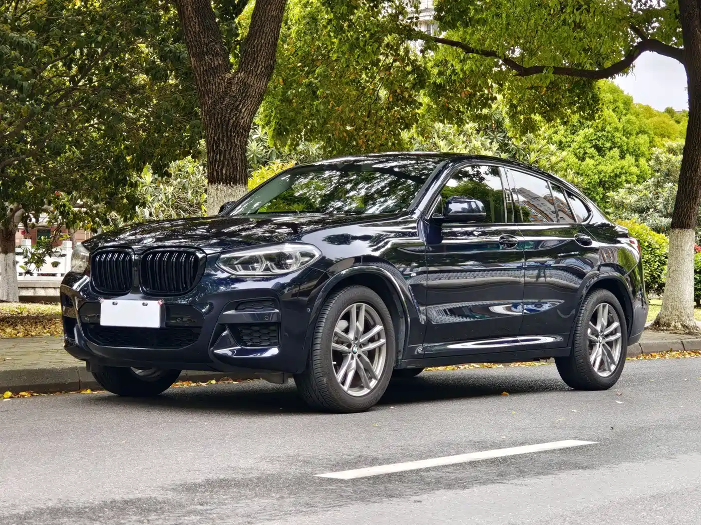 BMW X4 2020 xDrive25i M Sport Package