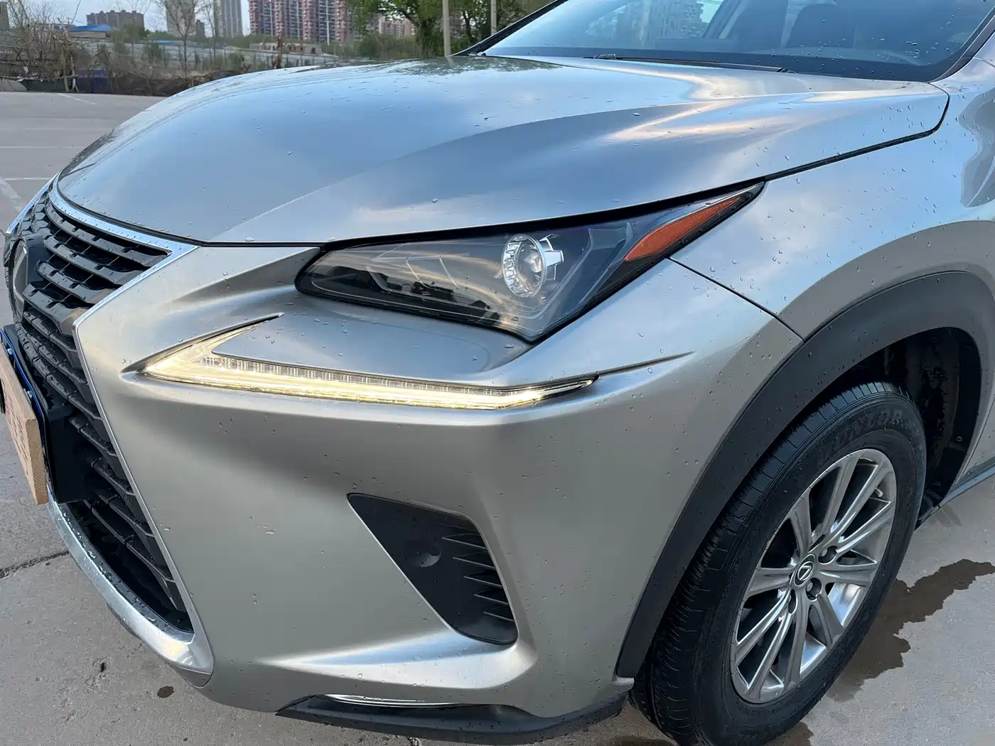 Lexus NX 2018 Model 300 FWD Fengxing Edition фото 8