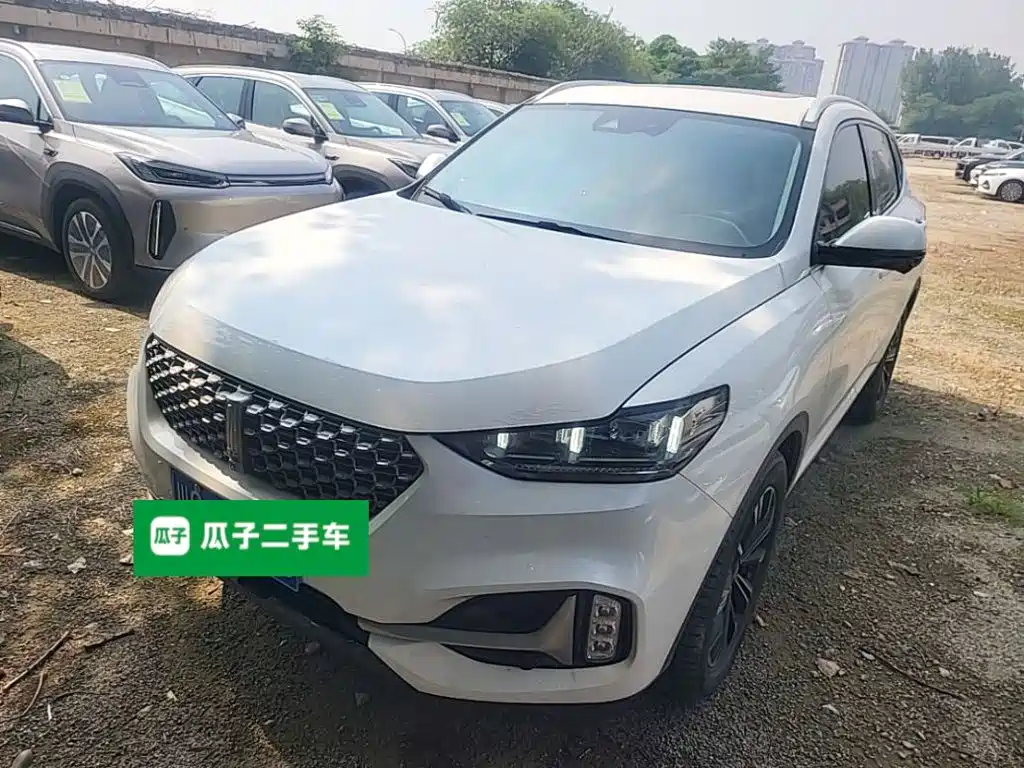 WEY VV6 2021 2021 2.0T 2WD Smart Enjoyment+