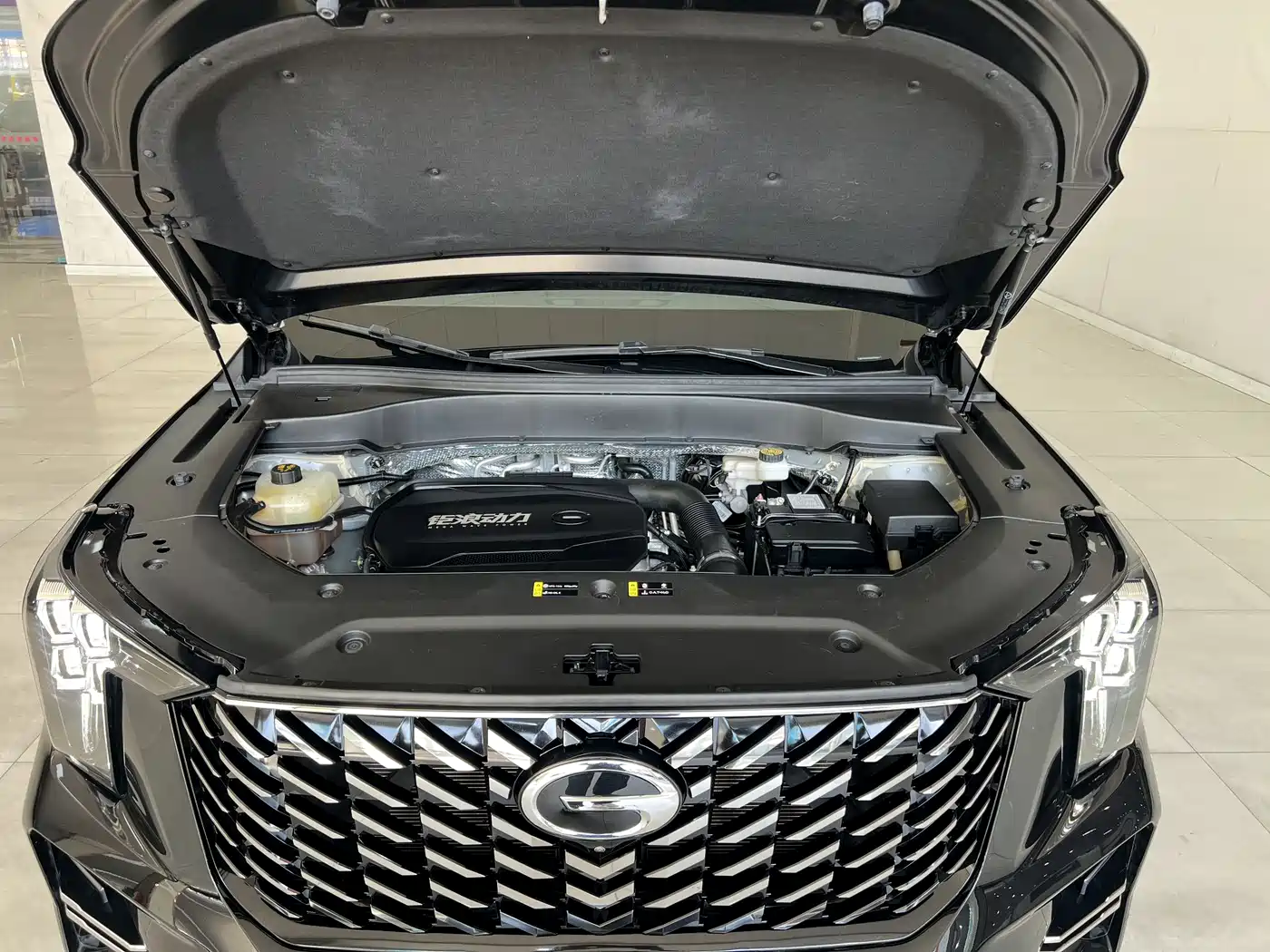 GAC Trumpchi Trumpchi GS8 2022 Pilot Series 2.0TGDI 2WD Luxury Smart Connect Edition (7-Seater) фото 18