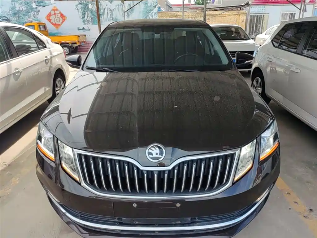 Škoda Octavia 2018 TSI280 DSG Luxury Edition фото 3