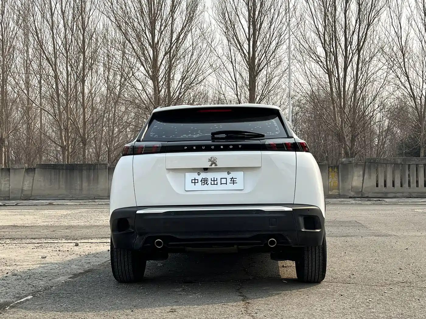 PEUGEOT 2008