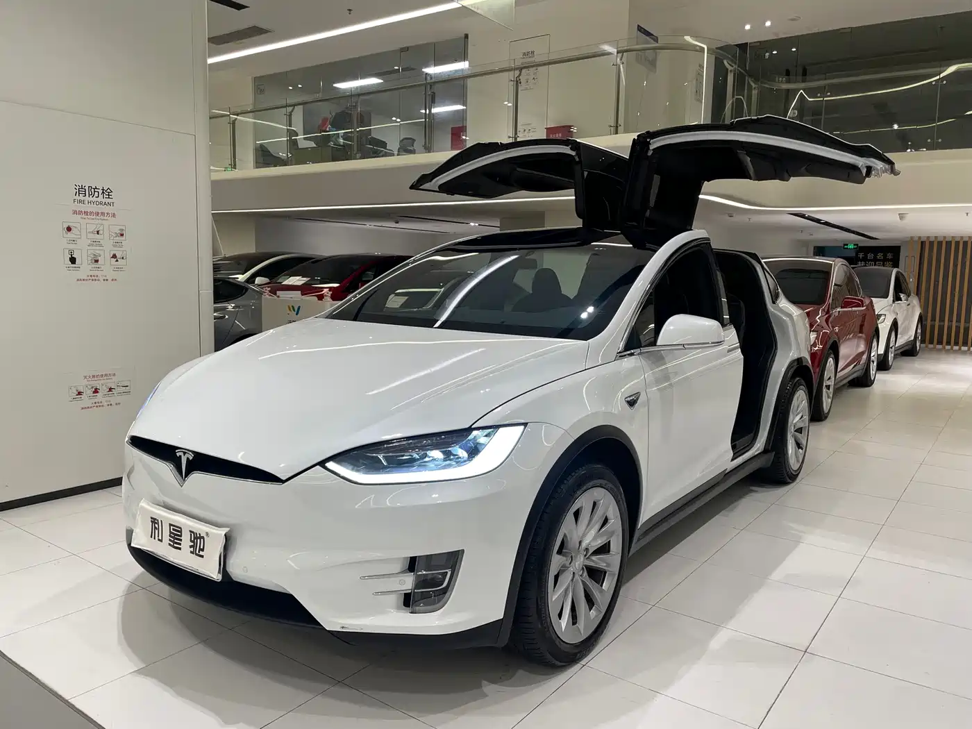 Tesla Model X 2020 Long Range Upgrade