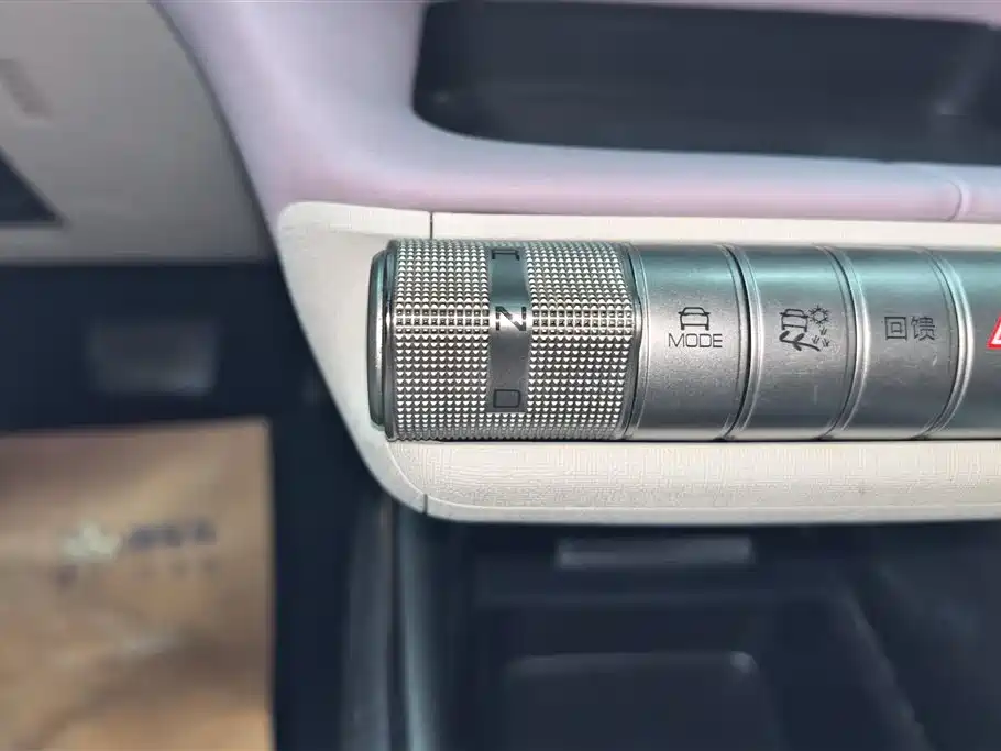 BYD Dolphin 2021 401km Knight Edition фото 16