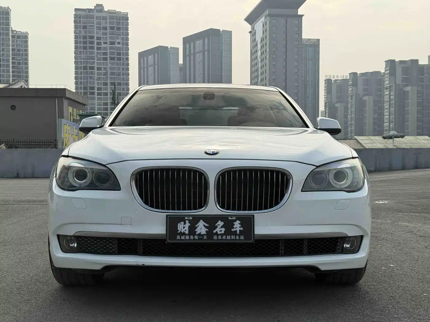 BMW 7 Series 2009 730Li Leading фото 2