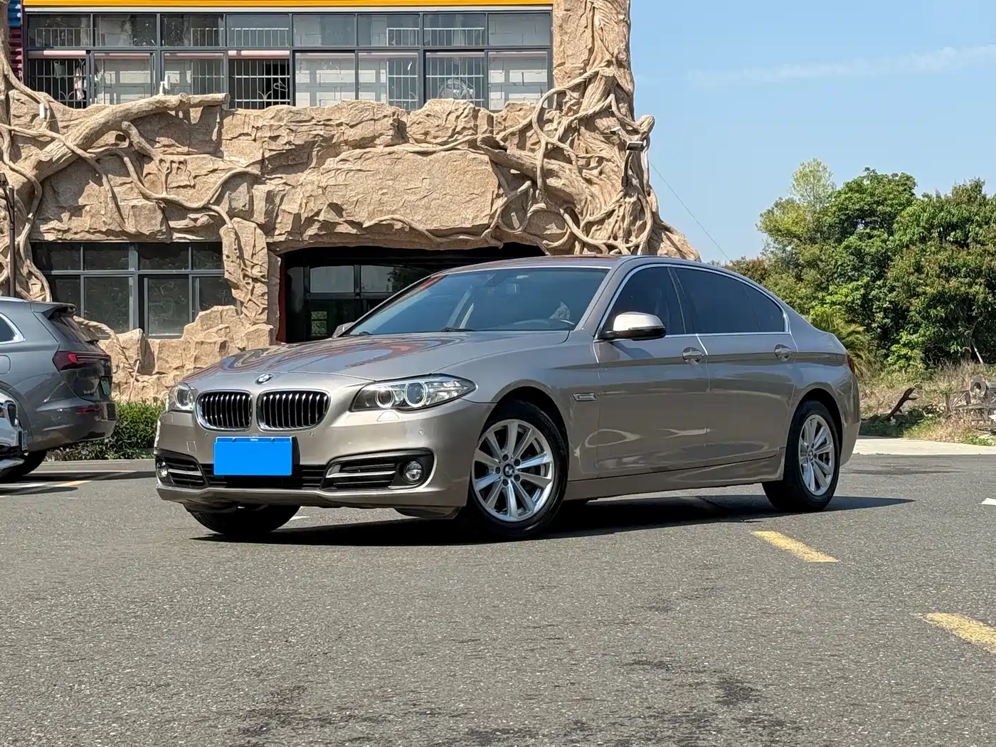 BMW 5 Series 2014 520Li Elegance
