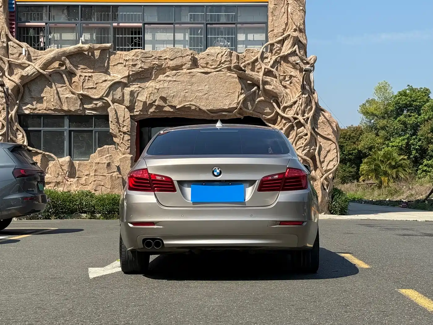 BMW 5 Series 2014 520Li Elegance фото 4