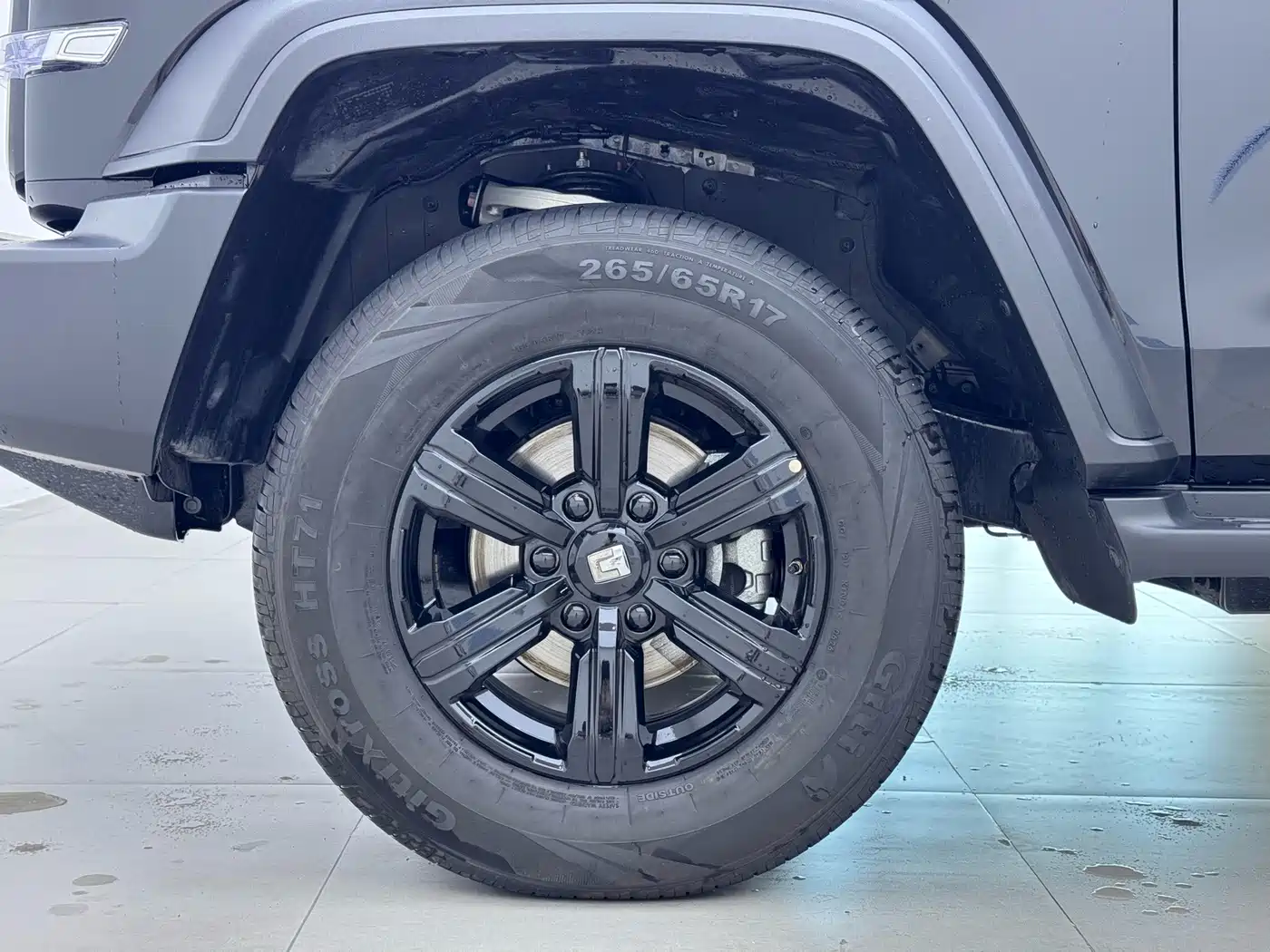 Tank 300 2026 2025 2.0T Challenger