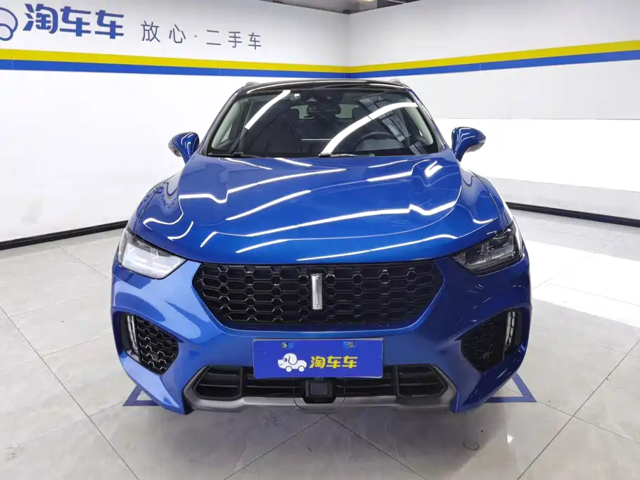 WEY VV5 2017 2017 2.0T Flagship Model