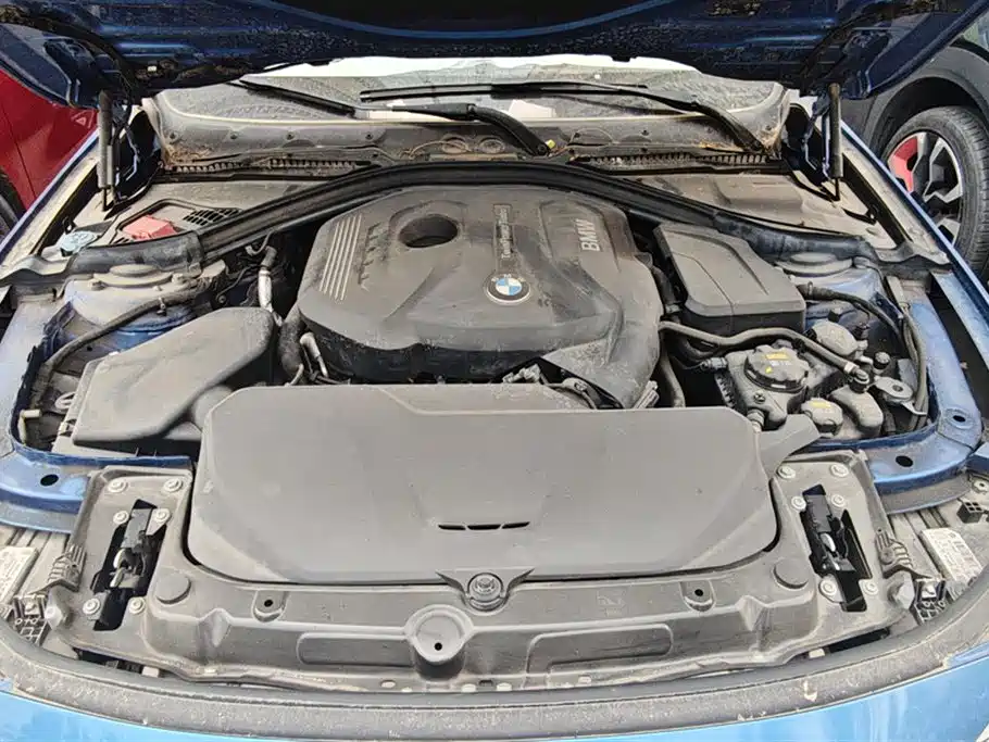 BMW 3 Series 2019 320Li M Sport Package фото 10