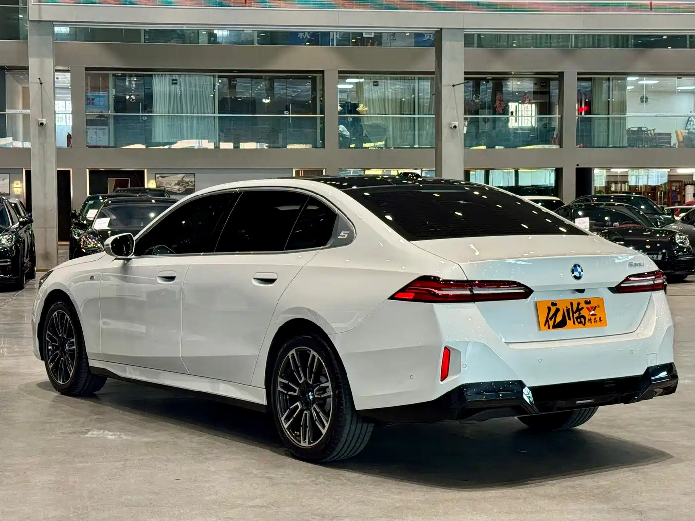 BMW 5 Series 2025 530Li Leading M Sport Package фото 14