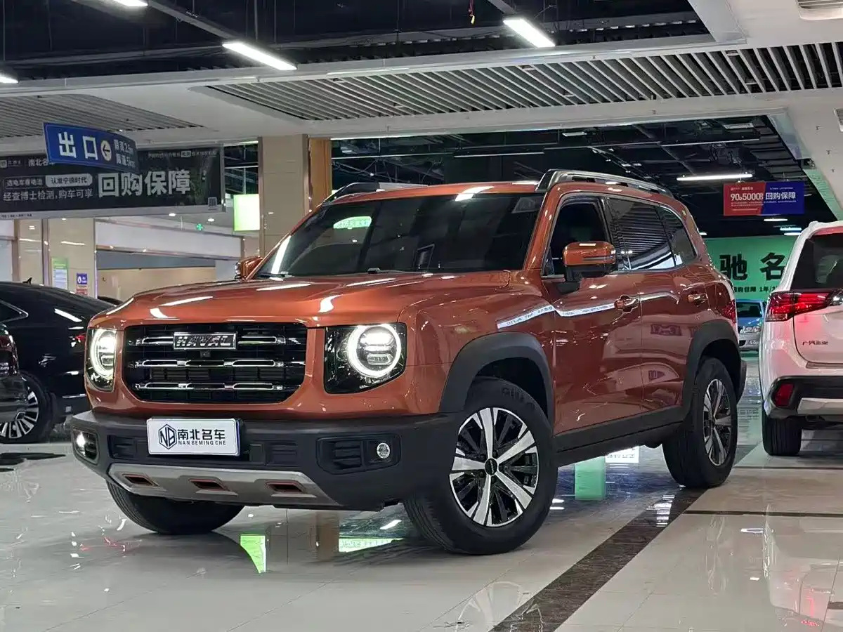 Haval Big Dog 2021 1.5T DCT 2WD Labrador Edition