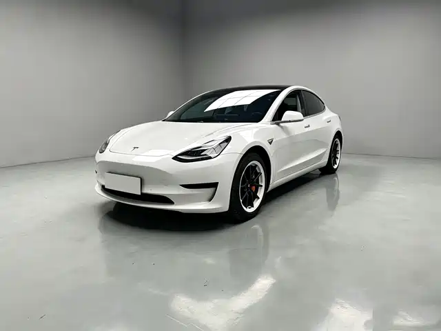 Tesla Model 3 2020 Standard Range Rear-Wheel Drive Upgrade