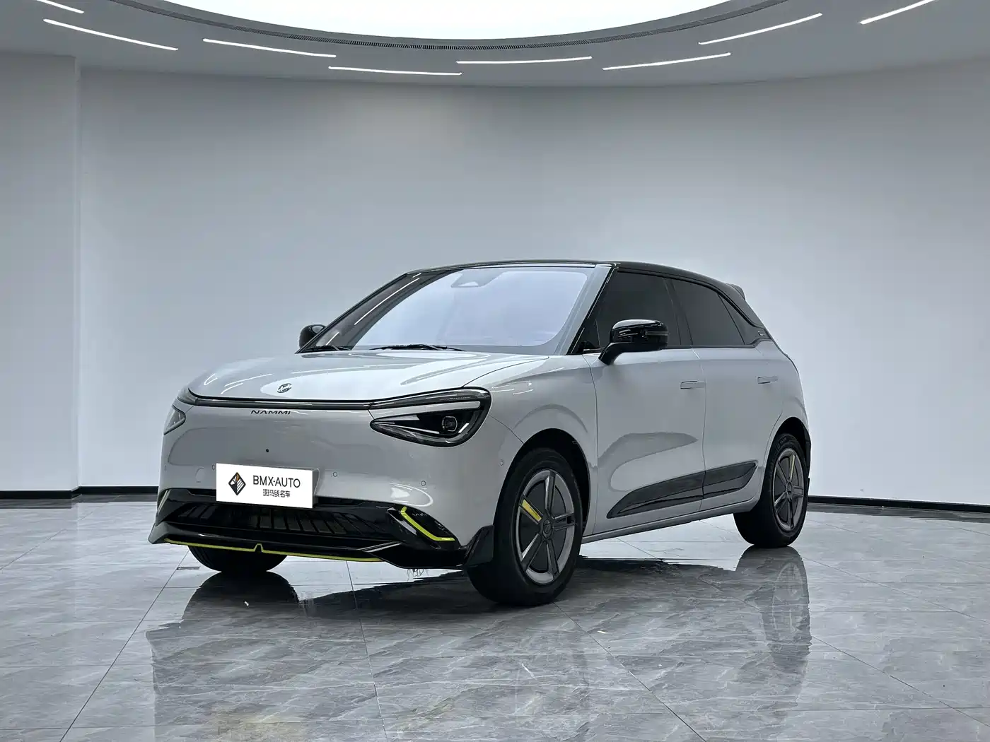 Dongfeng Yipai Nano 01 2024 Co-creation Edition WE
