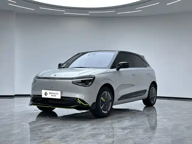 Dongfeng Yipai Nano 01 2024 Co-creation Edition WE