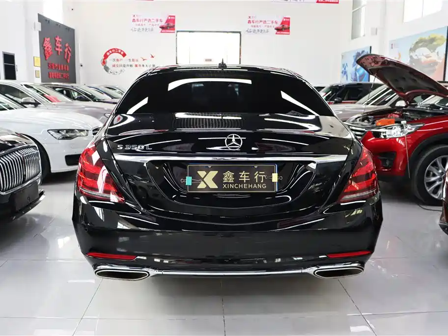 Mercedes-Benz S-Class 2020 S 350 L Business Edition Collector's Version фото 8