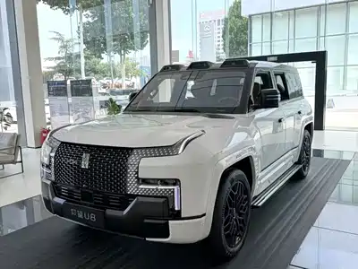 Yangwang U8