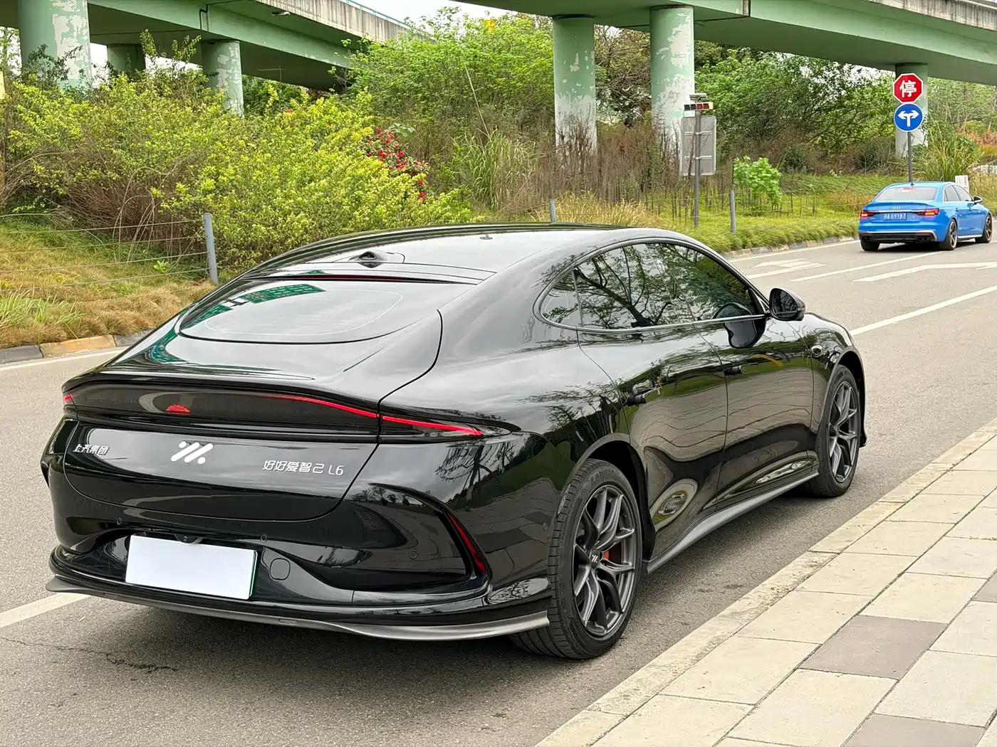 ZHIJI AUTOMOBILE ZHIJI L6