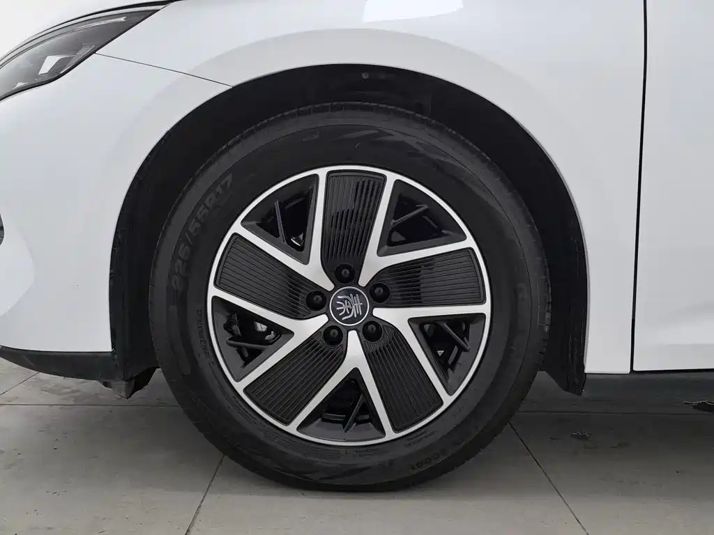 BYD Qin L 2025 2024 DM-i 80KM Superior