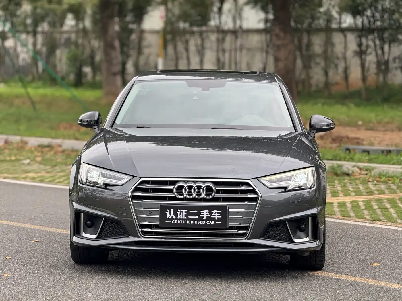 Audi A4L 2019 45 TFSI quattro Personality Sport (China VI) фото 2