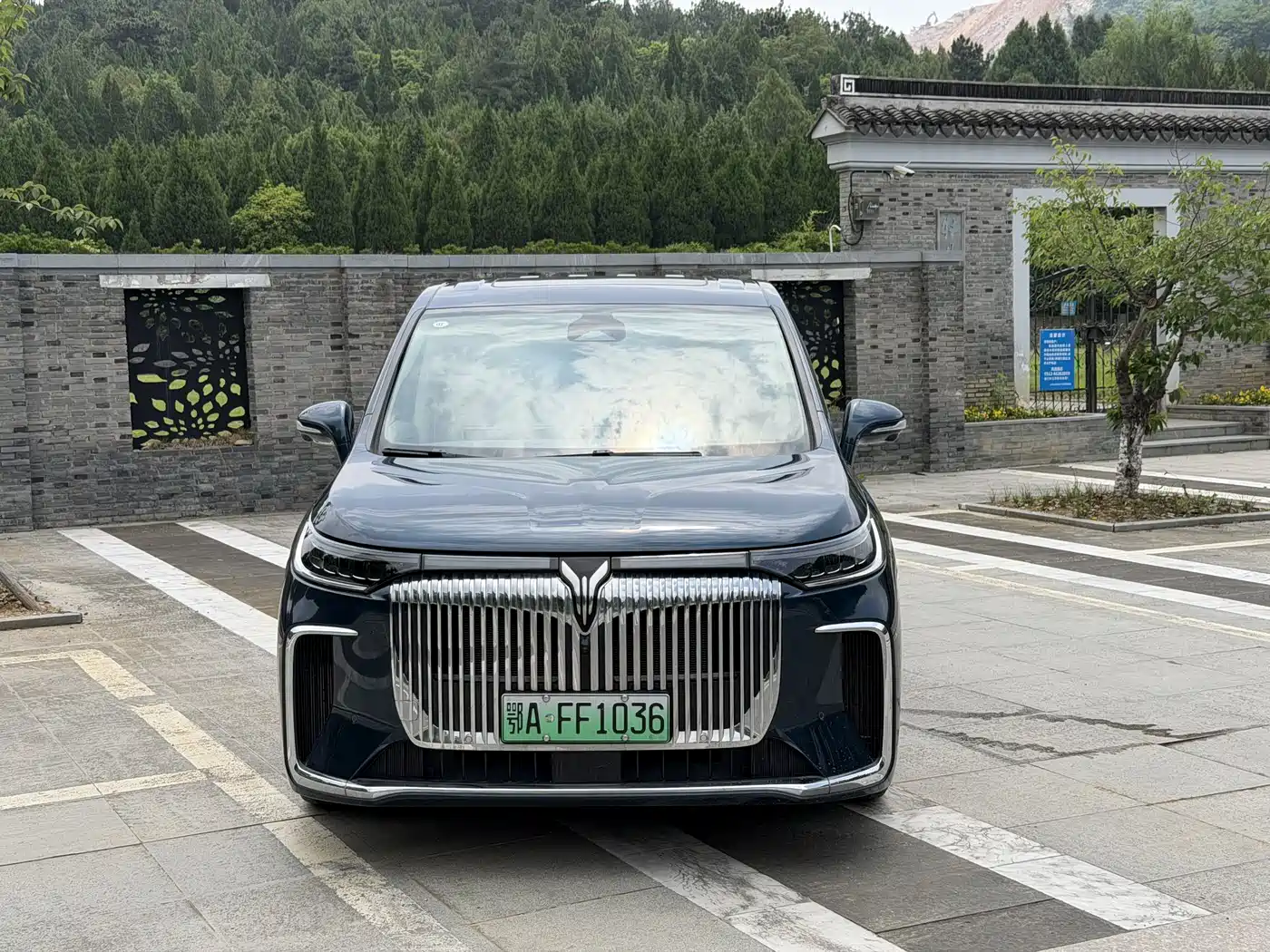 Voyah Auto Voyah Dreamer 2025 PHEV AWD Flagship Kunpeng Edition фото 2