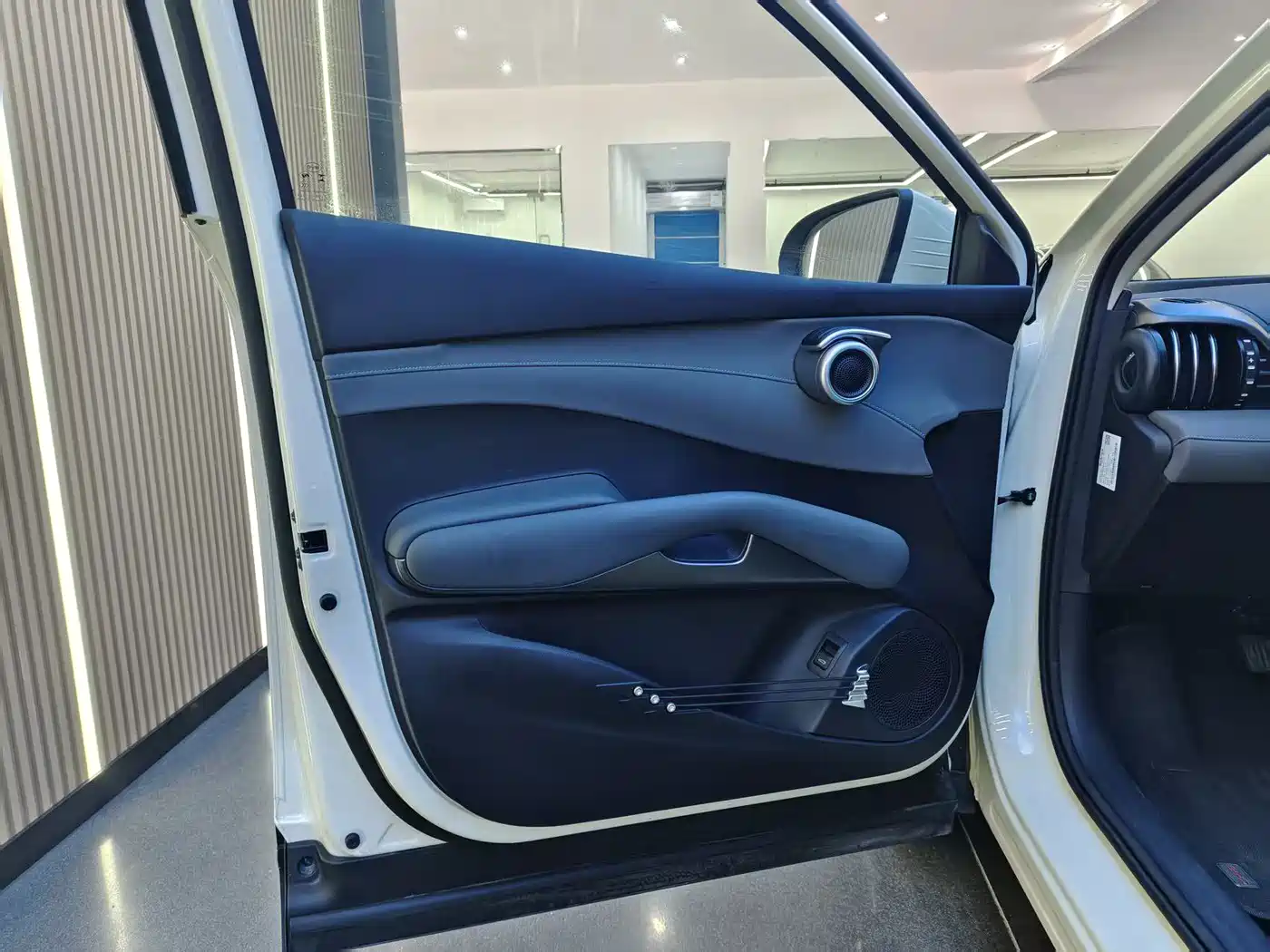 BYD Yuan PLUS 2025 2025 Smart Drive 510KM Surpass Edition