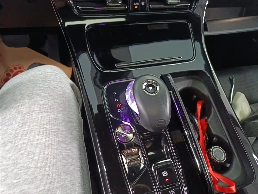 GAC Trumpchi Trumpchi M8 2023 Master Series Dual Hybrid Flagship Edition фото 14