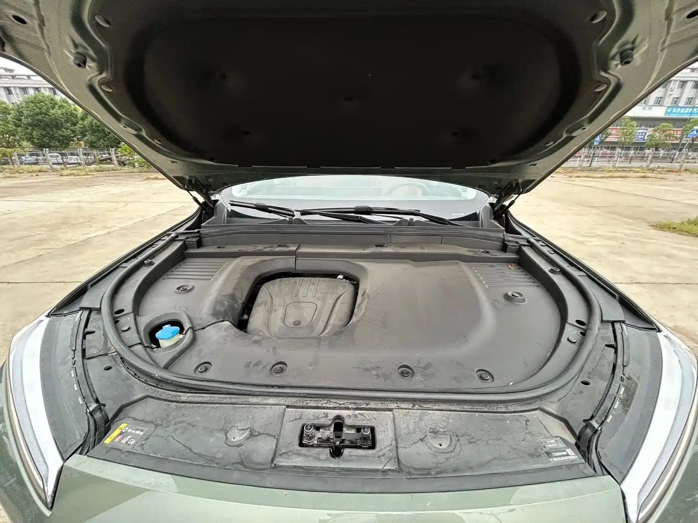 WEI PAI WEI BRAND BLUE MOUNTAIN