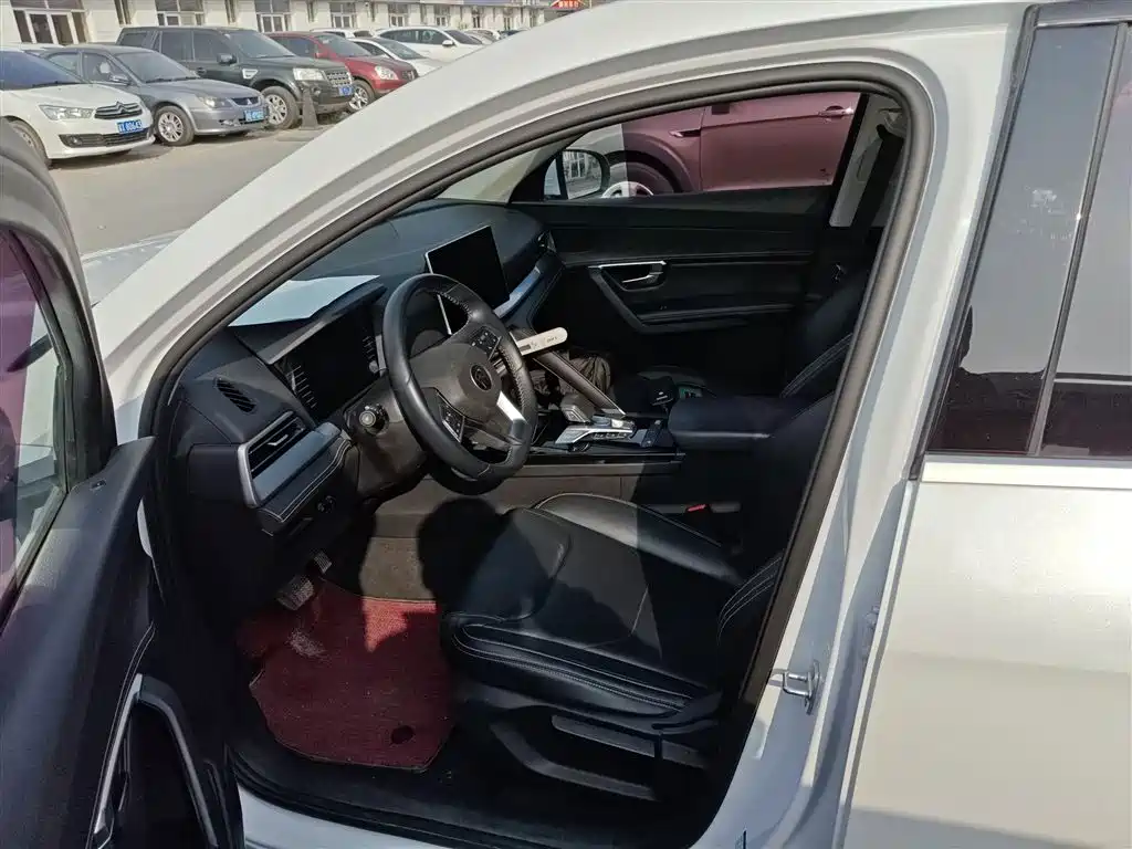 BYD Song Pro 2019 1.5T Automatic Elite фото 11