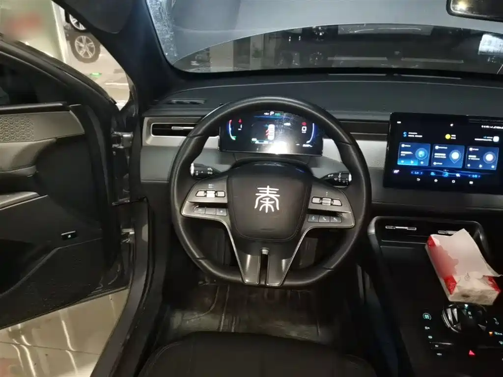 BYD Qin PLUS 2025 DM-i Smart Drive 55KM Leader фото 11