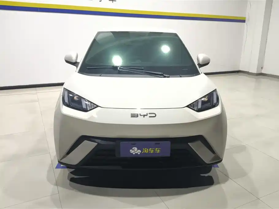 Фото 2 - BYD Seagull