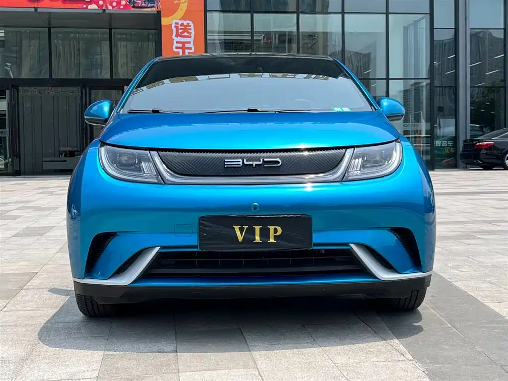 BYD Dolphin 2021 Model 405km Fashion Edition фото 2