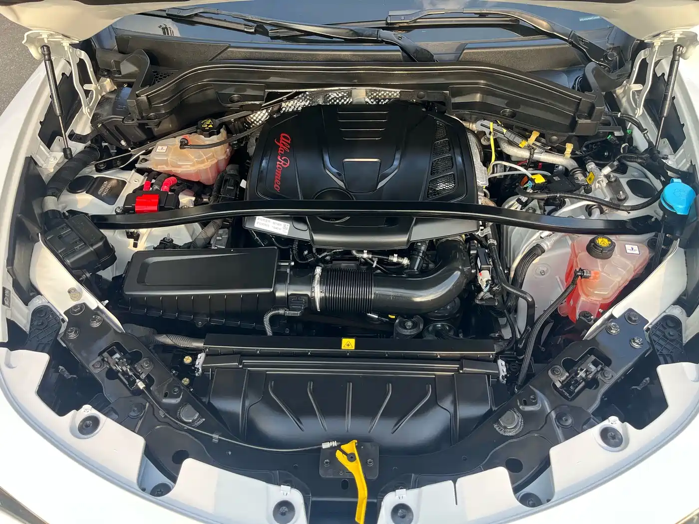 Alfa Romeo Stelvio 2021 2020 2.0T 280HP Luxury Edition