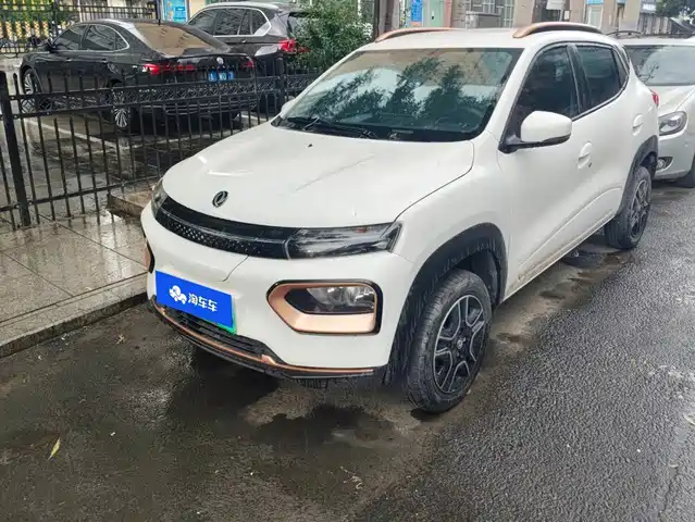  Dongfeng Yipai Nano BOX 2022 Champion Edition Breeze 201KM Standard