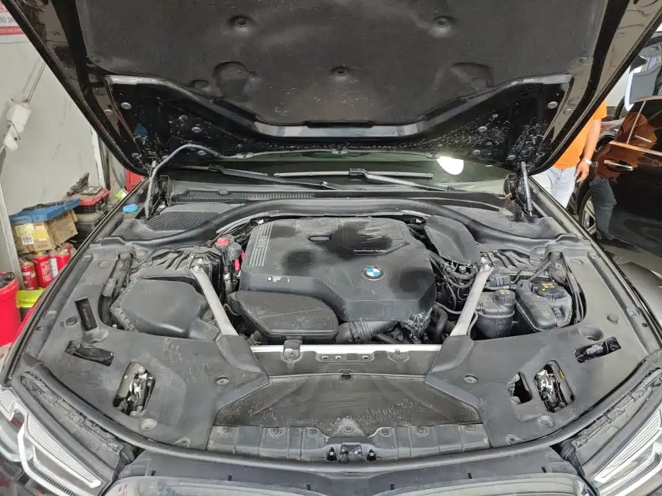 BMW 5 Series 2021 530Li Leading Luxury Package фото 8