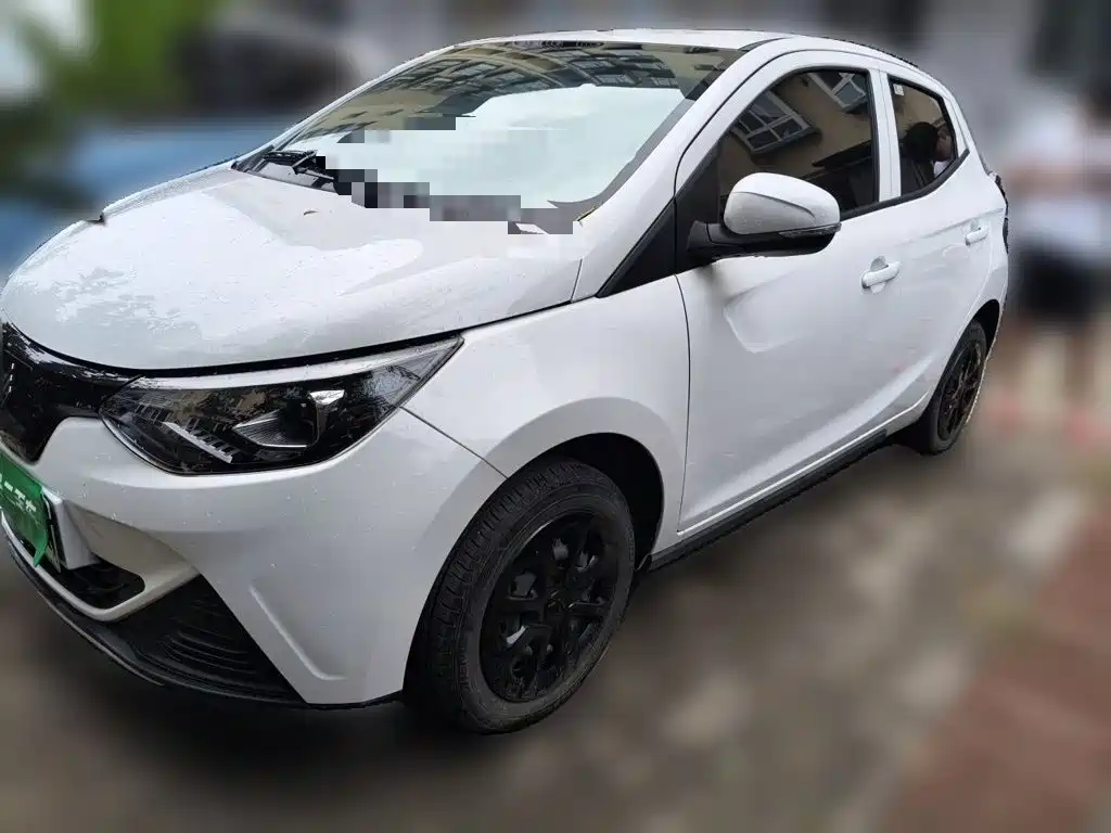 JMCG New Energy Little Kirin 2024 2023 Model Lucky Edition 201km Comfort