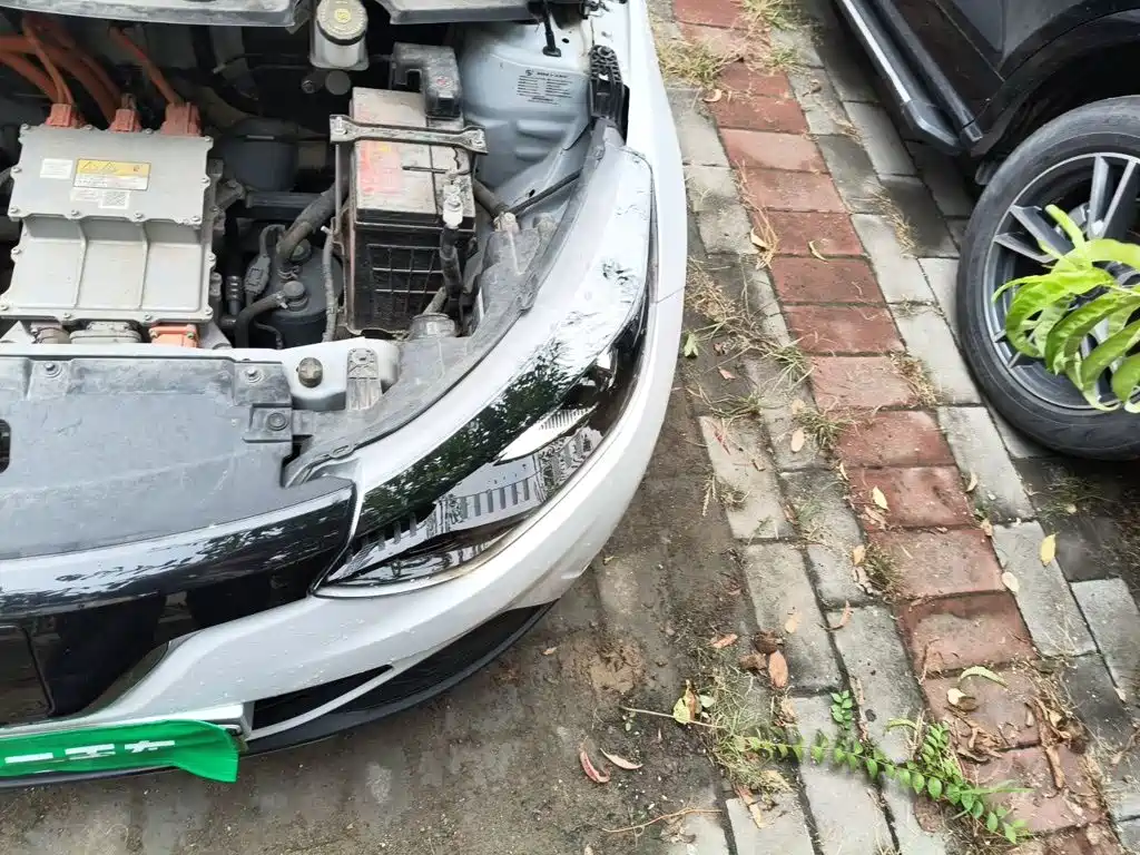 JMCG New Energy Little Kirin 2024 2023 Model Lucky Edition 201km Comfort