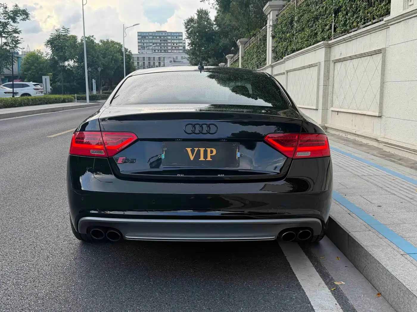 Audi S5 2012 2012 S5 3.0T Coupe