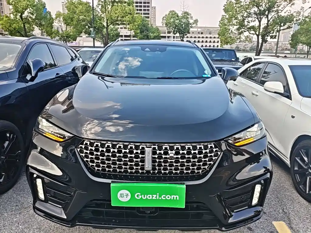 WEY VV7 2020 2021 Model 2.0T Technology Edition