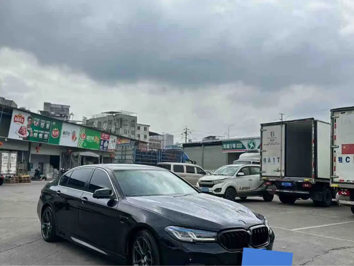 BMW 5 Series 2012 523Li Luxury фото 2